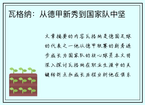 瓦格纳：从德甲新秀到国家队中坚